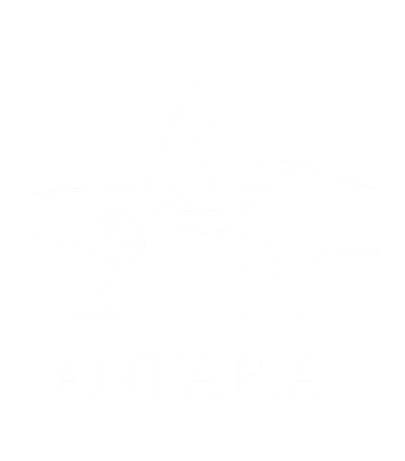 new logo